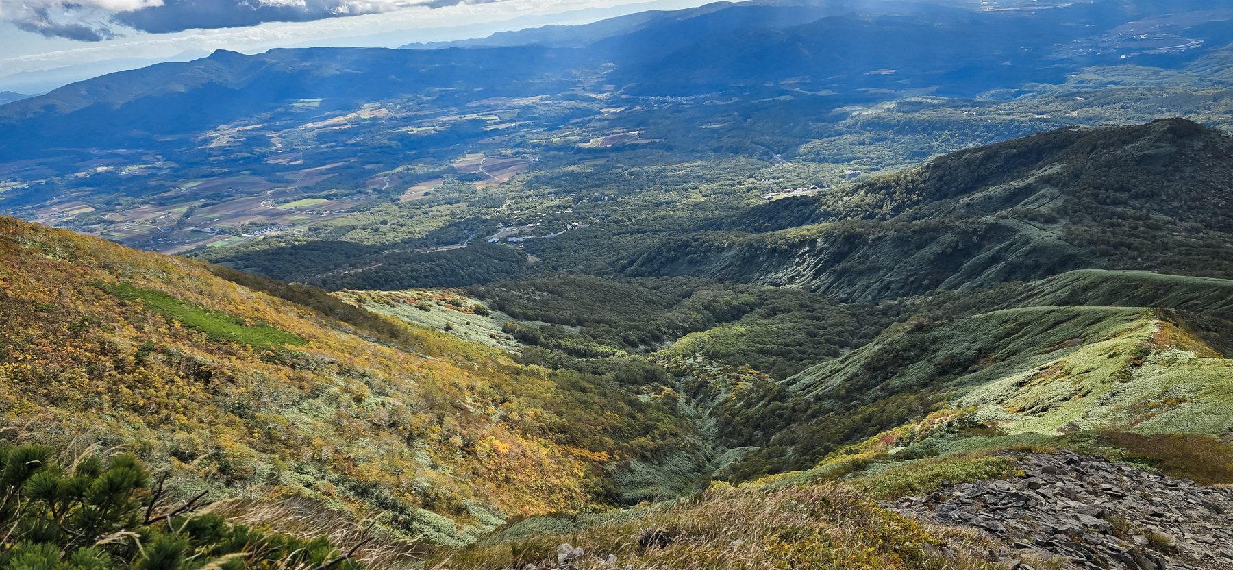 Autumn colour on the mountainside