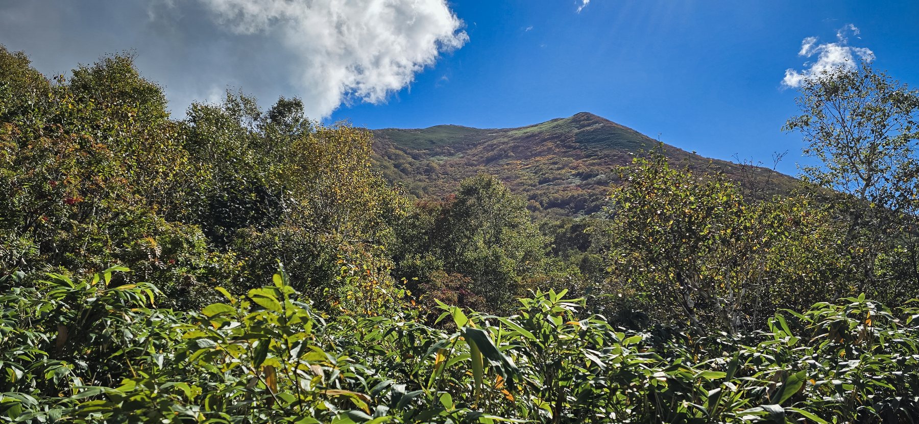 Annupuri from the start of the trail