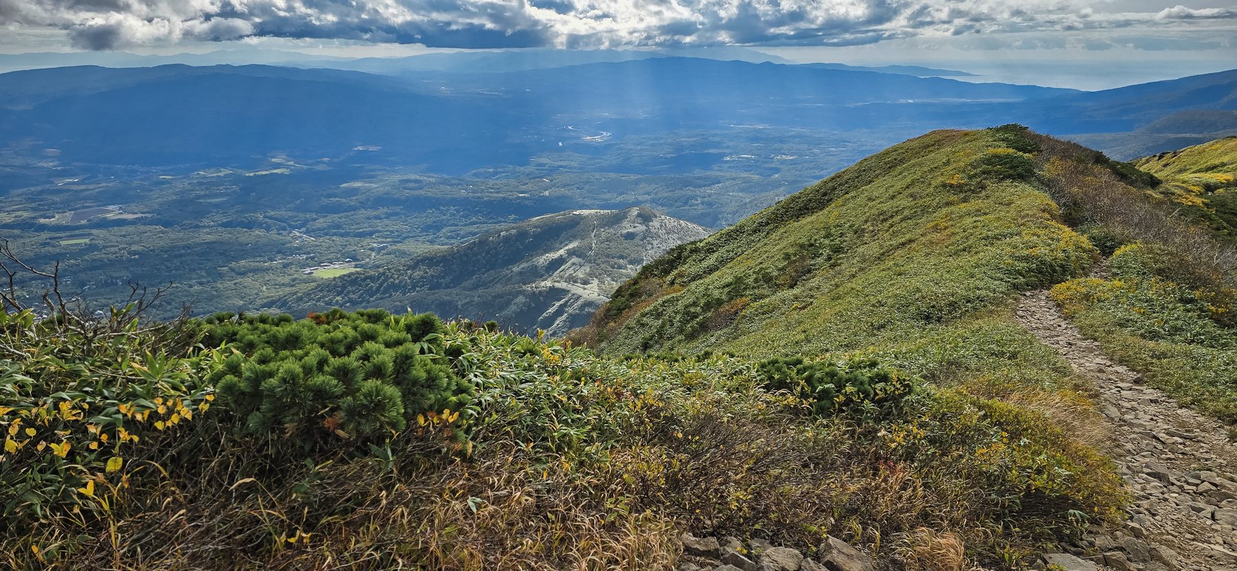Autumn grass along the ridge