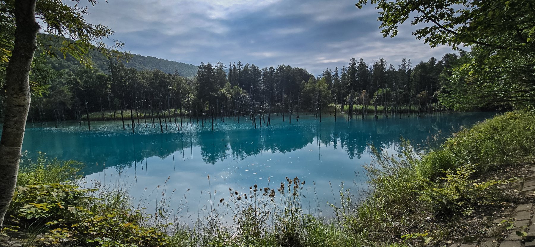 The Blue Pond, one quiet morning