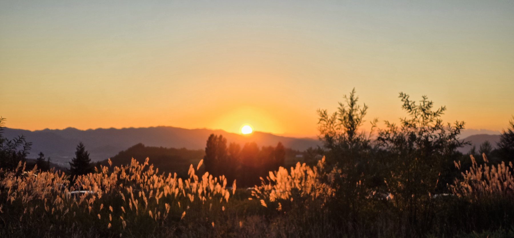 Sunset over the grass, above Furano