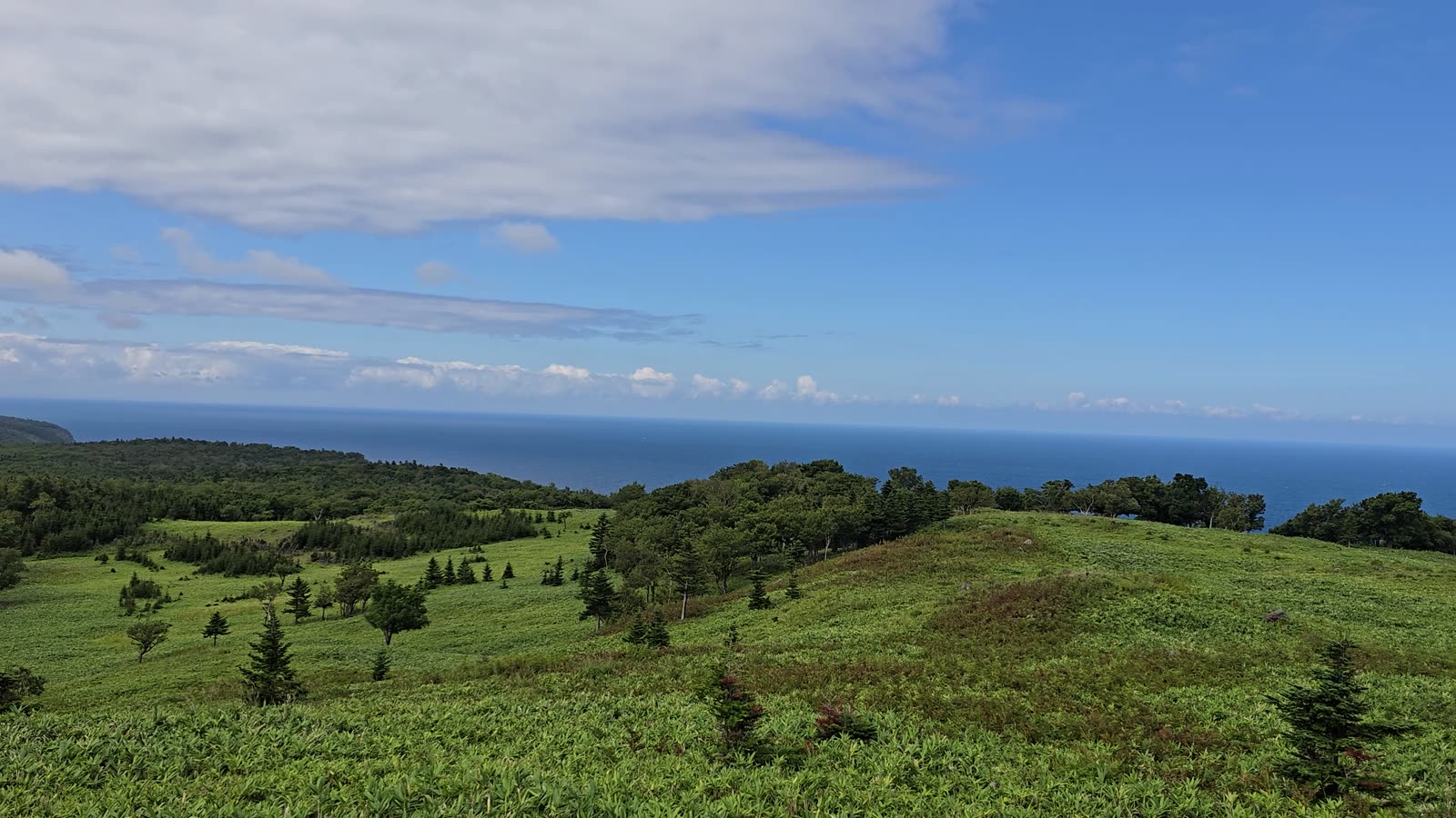 Open grassland and scattered trees above the sea at Shiretoko Five Lakes