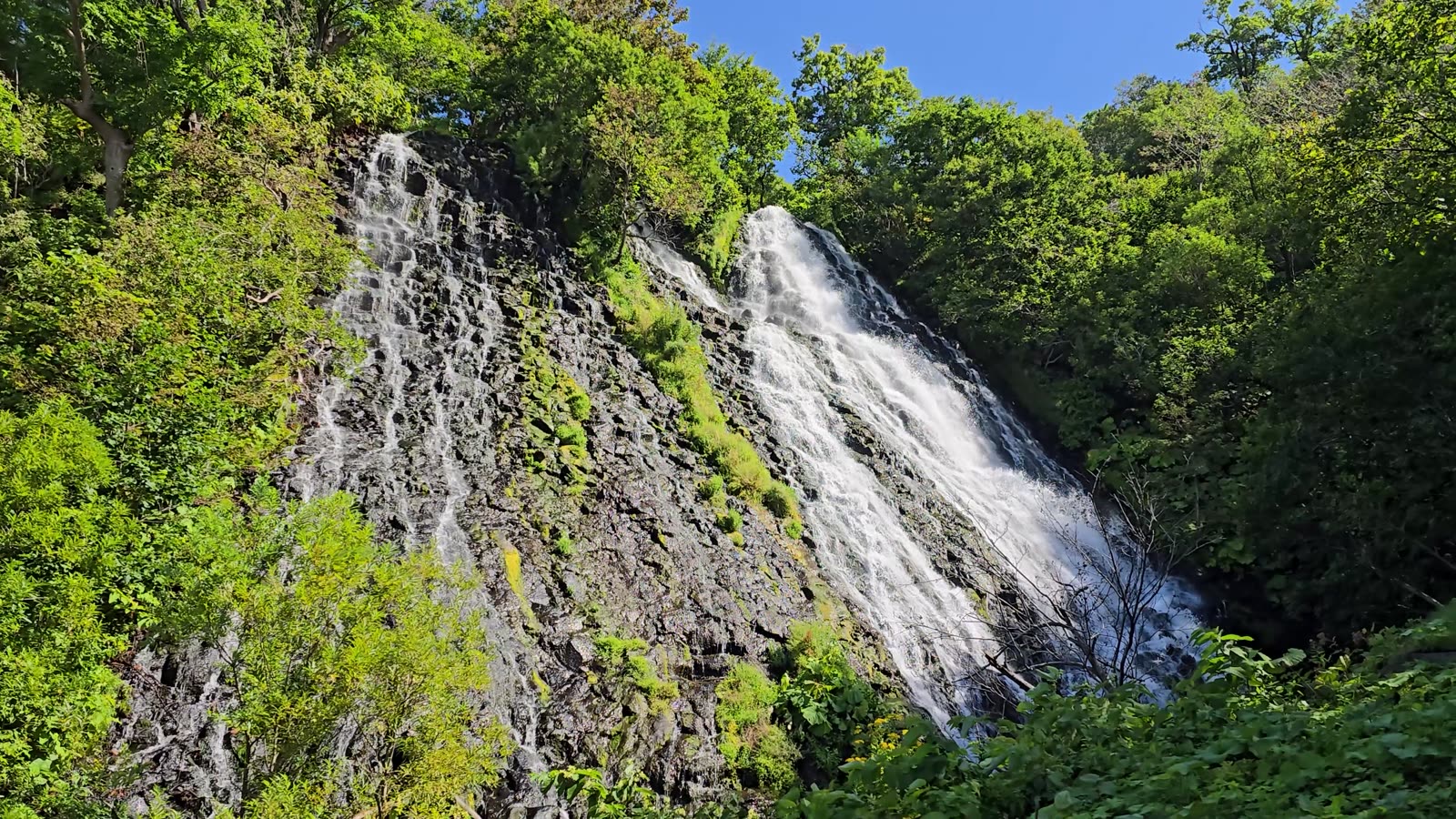Oshinkoshin Falls splitting into two streams over dark rock, framed by green forest