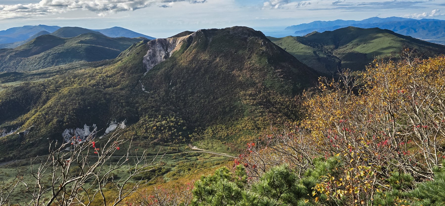 Autumn branches and the far peak